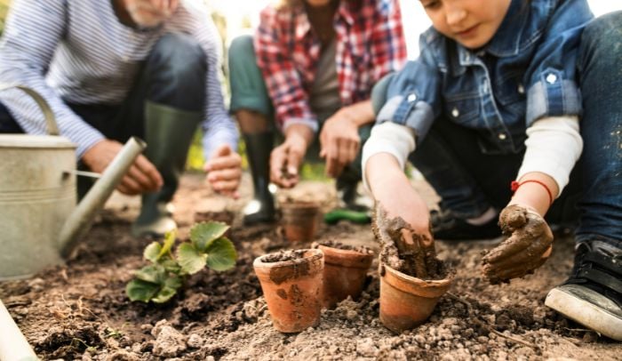 Start Your Native Garden with Confidence img-11