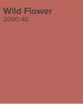 wild flower paint chip by benjamin moore