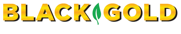 Black & Gold Logo