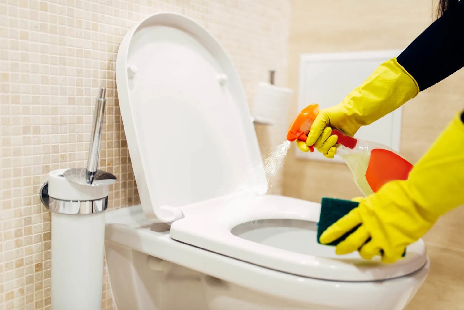 maid cleans the bidet with bathroom cleaning supplies in bozeman montana