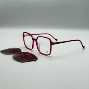 Web Clips Lunettes 2 en 1