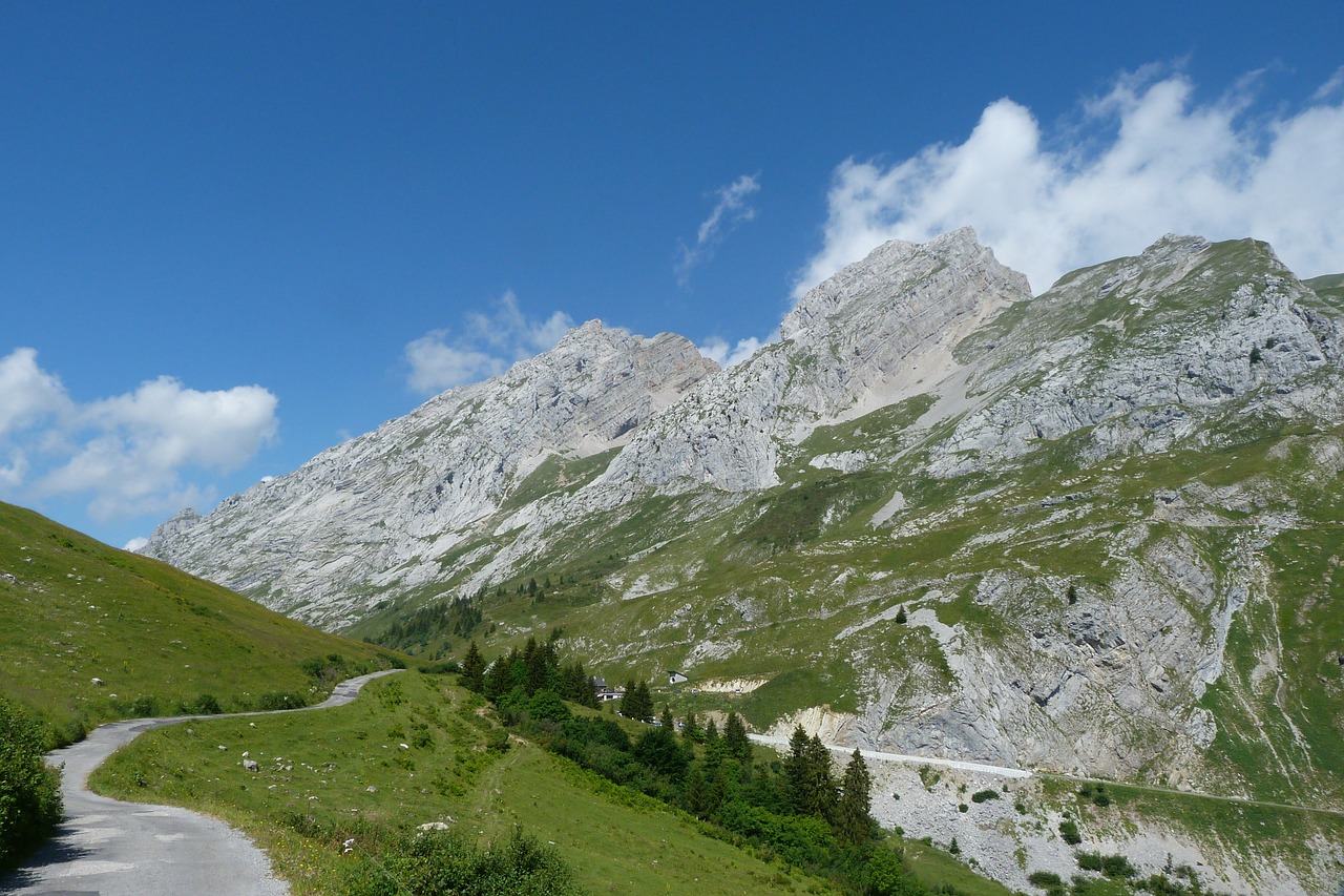 img-8