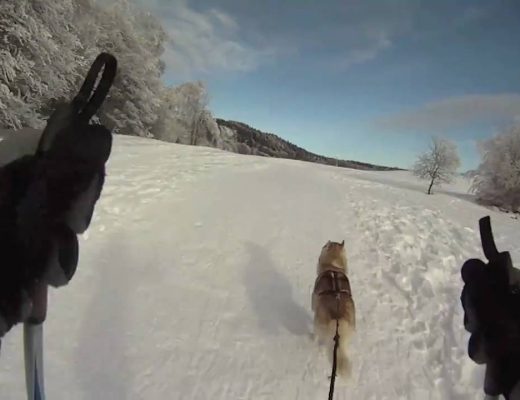 excursions en montagne au revard: une aventure inoubliable