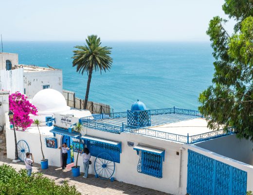 pexels mahmoud yahyaoui 27599623