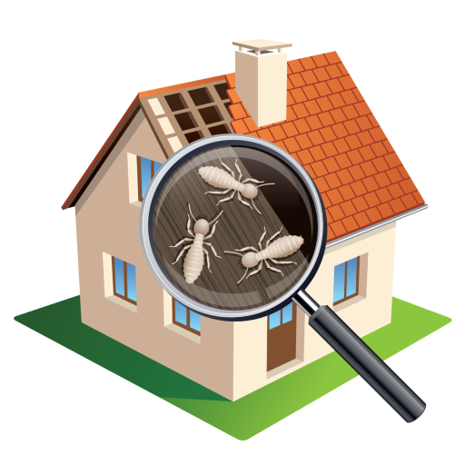 Leading Building & Pest Inspections Termites in house-png (2) img-5