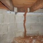 Leading Pest Inspection img-8
