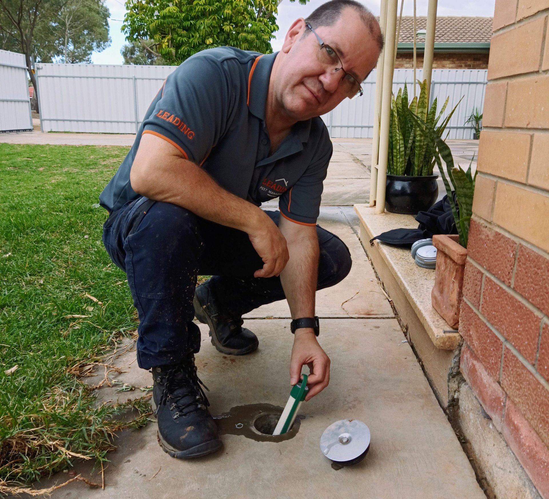 Termite station check img-1