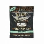 Peppermint Full Spectrum CBD Mints - 1 Pack