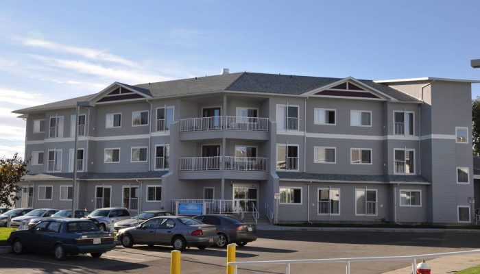 Medicine Tree Manor a car parked in front of a building
