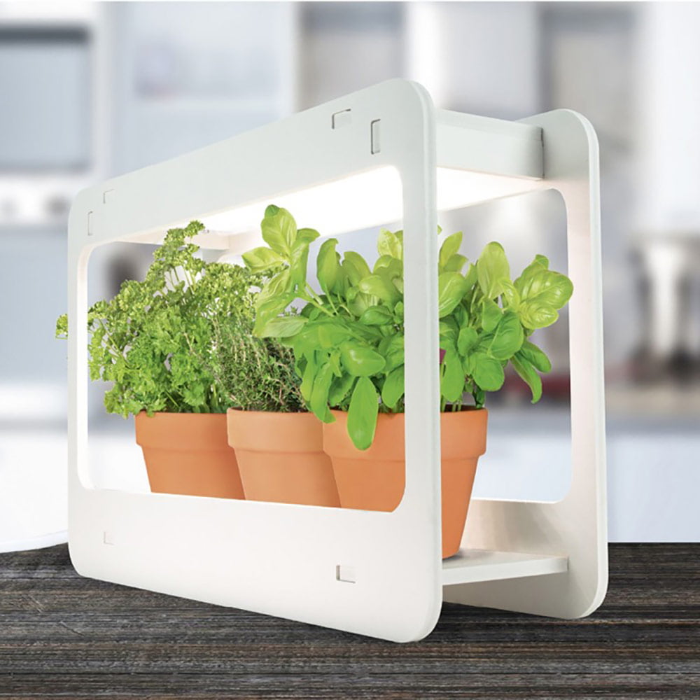 LAMPE POTAGER INTERIEUR &ndash; Image 1