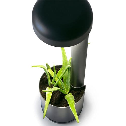 POTELET EXTÉRIEURE GROW
