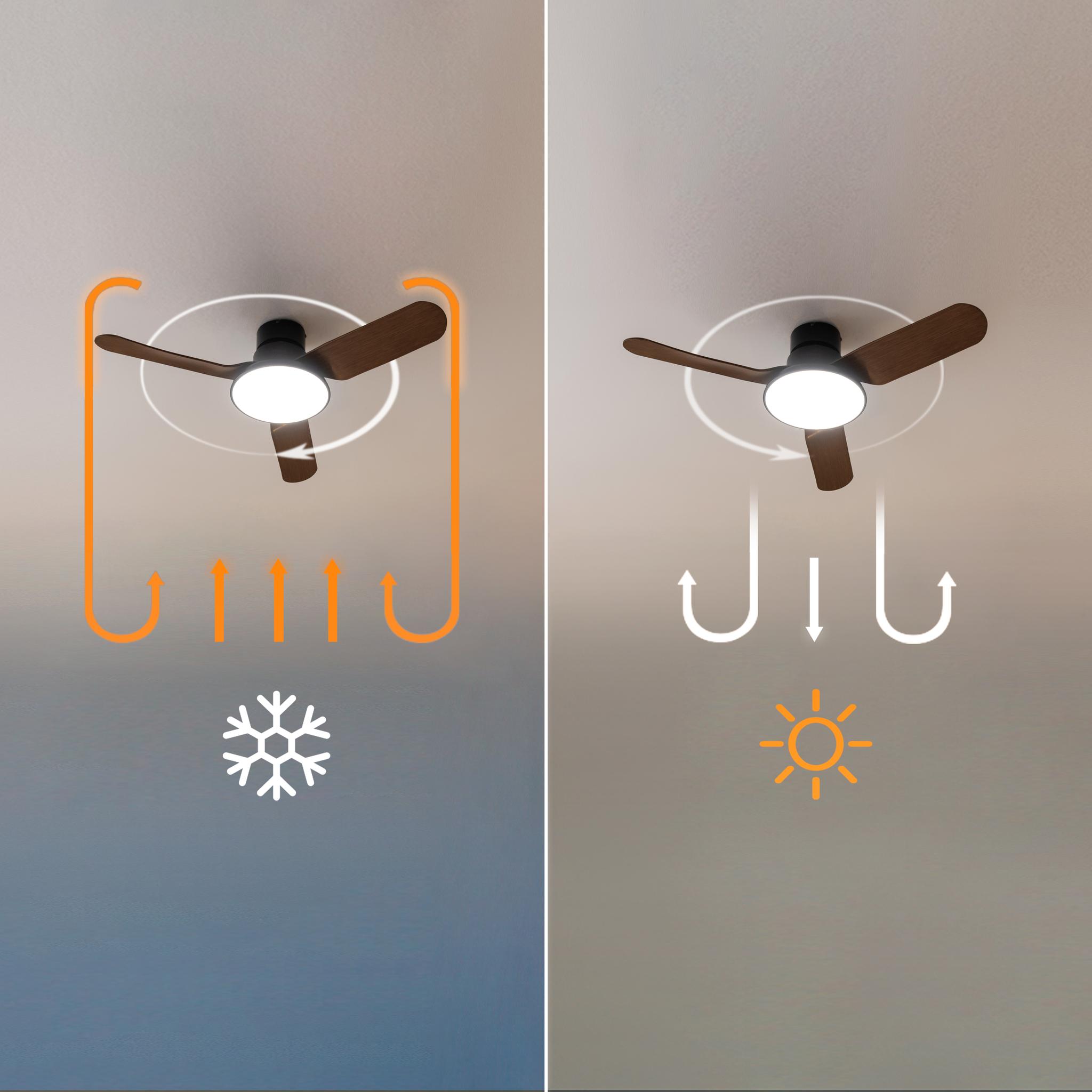 Ventilo Cecotec 3P Aero5200 24w CCT 109cm,noir/noyer &ndash; Image 3