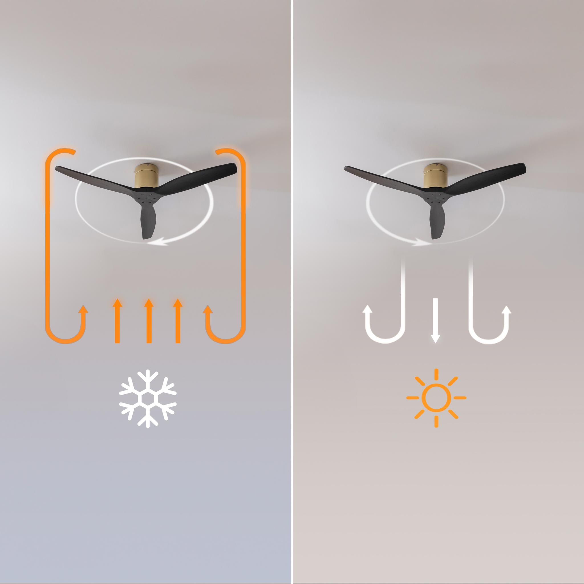 Ventilo connect&eacute; Cecotec 3P Aero5500 IP44 132cm,noir/or &ndash; Image 4