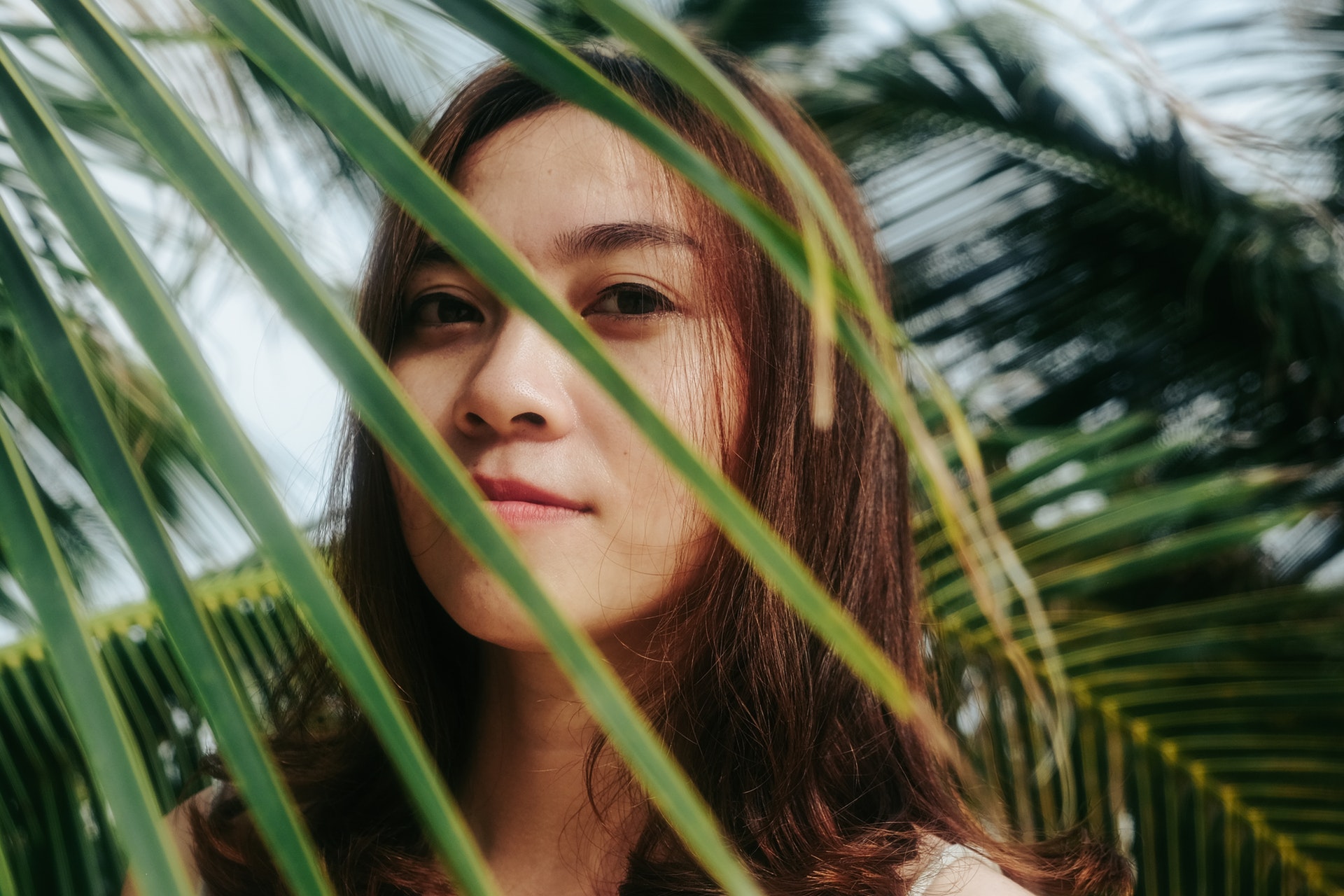 Coloration végétale Coloration végétale