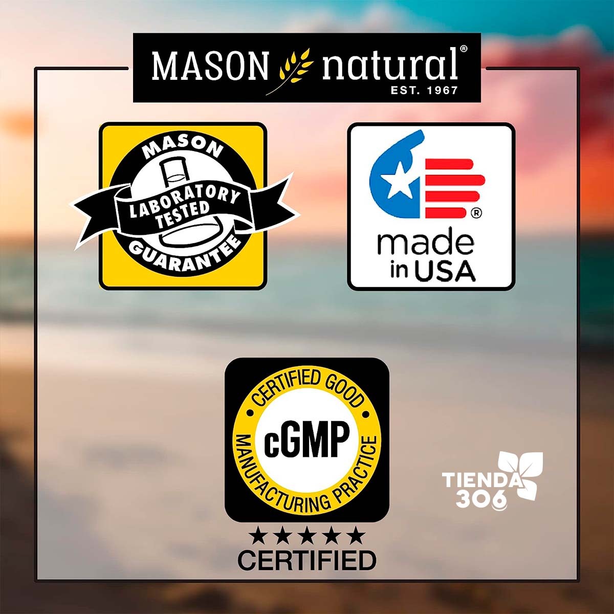Mason Natural Premium Herb Ginkgo Biloba 125 mg Hierba Adaptógena 180 Cápsulas - Imagen 3