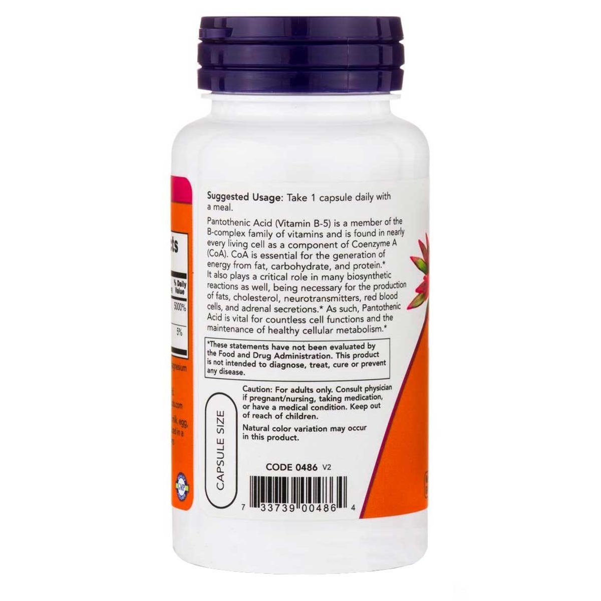 Now Acido Pantotenico / Pantothenic Acid Vitamina B-5 500 mg 100 Cápsulas - Imagen 4