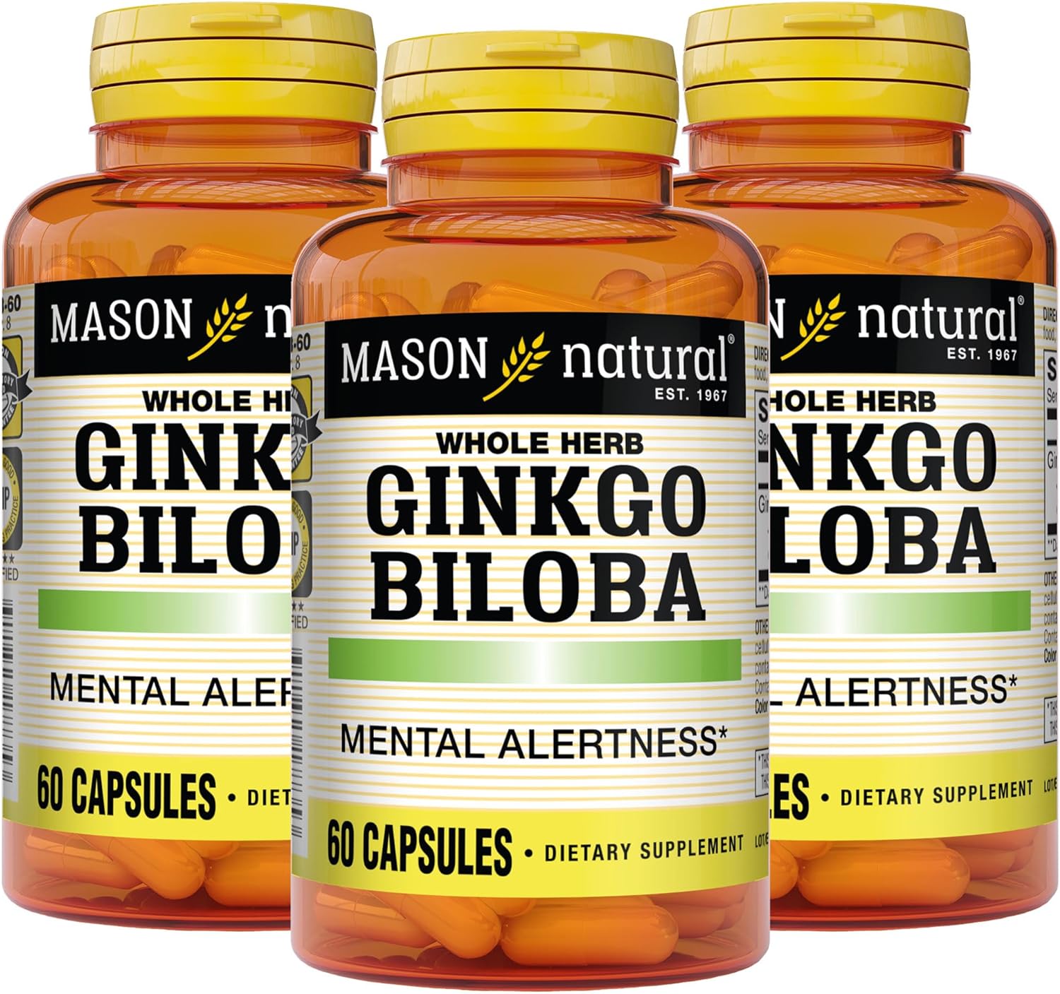 Mason Natural Premium Herb Ginkgo Biloba 125 mg Hierba Adaptógena 60 Cápsulas