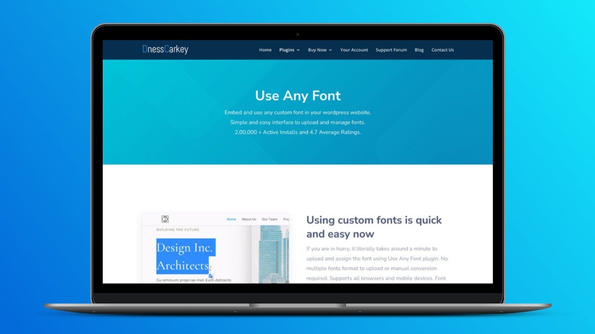 Use any font premium plugin lifetime deal image