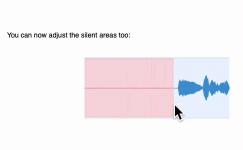 Recut Adjust Silence