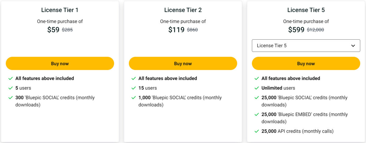 Bluepic Lifetime Deal Pricing