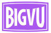 Bigvu Logo