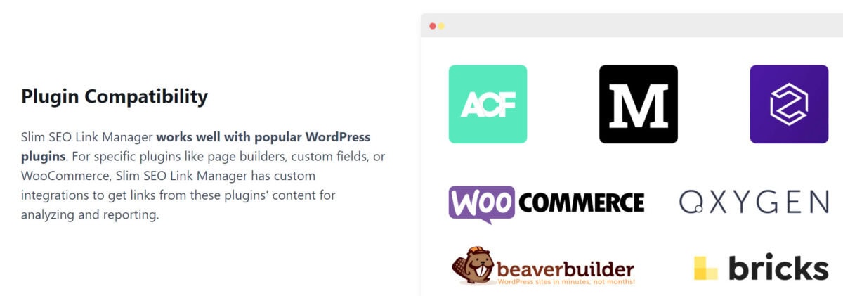 Slim Seo Schema Image 1