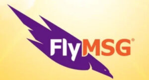 Fly MSG logo