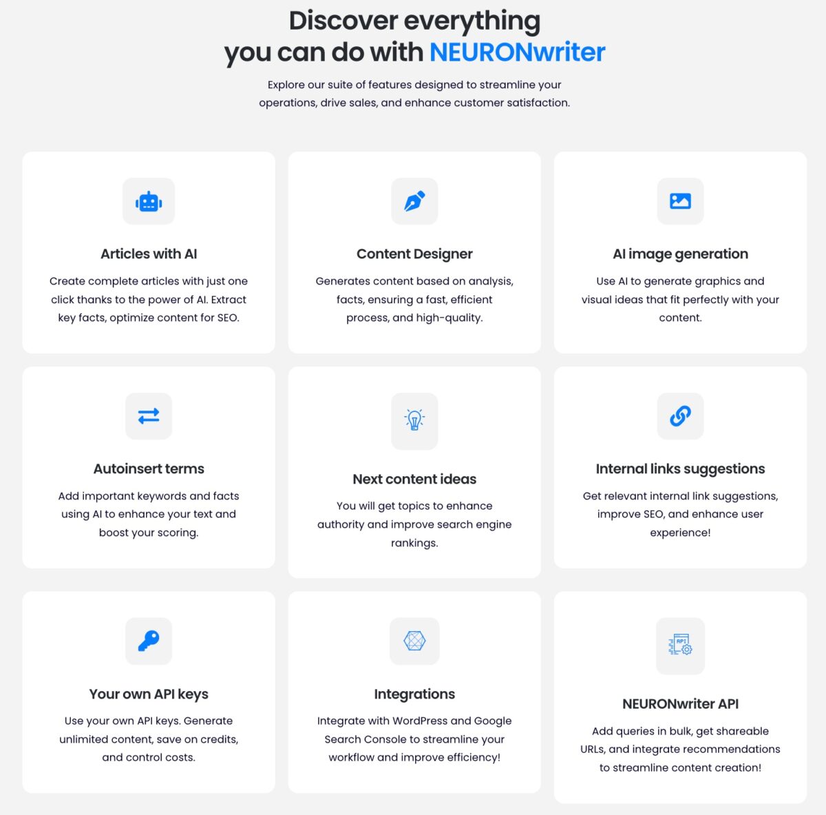 Neuronwriter Features