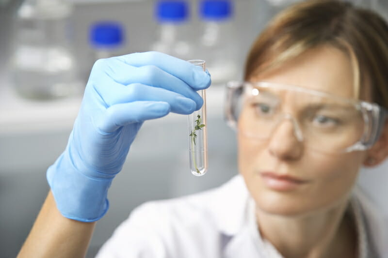Scientist Looking at Vial
