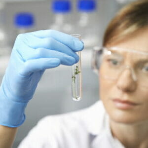 Scientist Looking at Vial