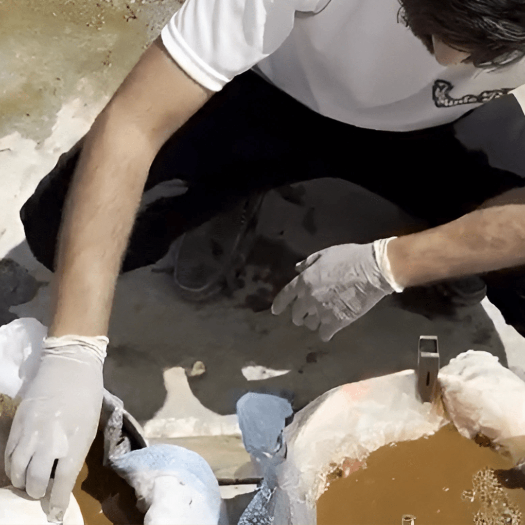 Shilajit Basic Filtration - Pure Himalayan Shilajit