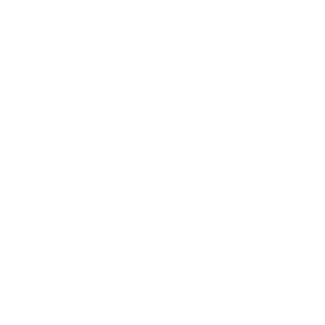 Pure Himalayan Shilajit reasonable price