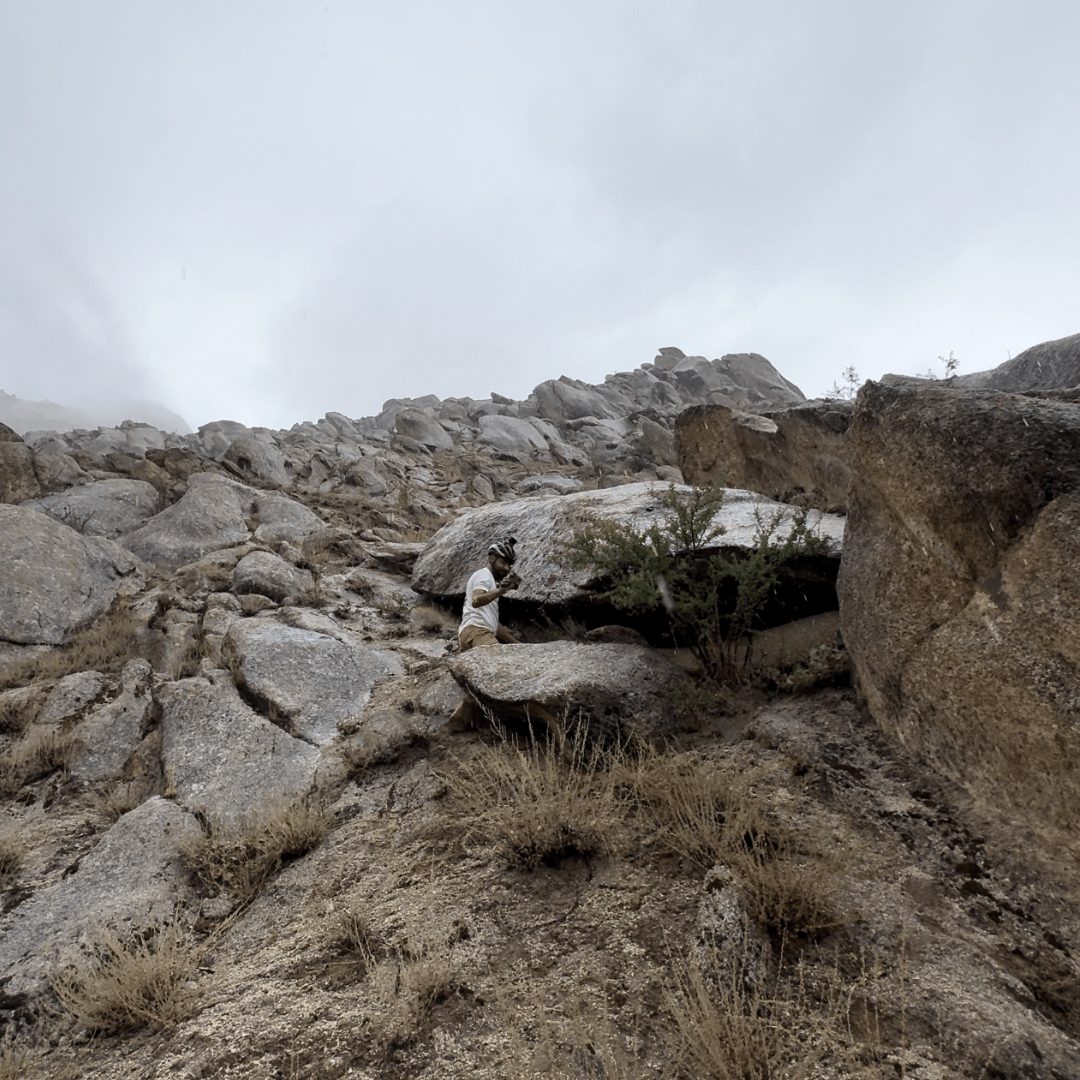 How Shilajit Harvast - 100% Pure Himalayan Shilajit