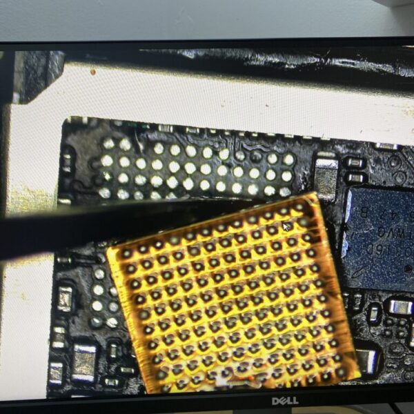 IMG_9238-scaled-768x1024