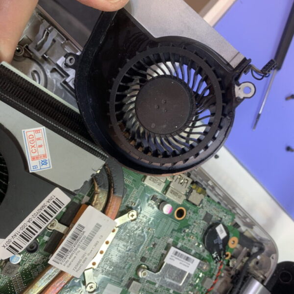 IMG_7989-scaled-1024x768