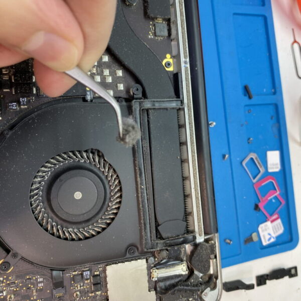 IMG_8616-scaled-1024x768