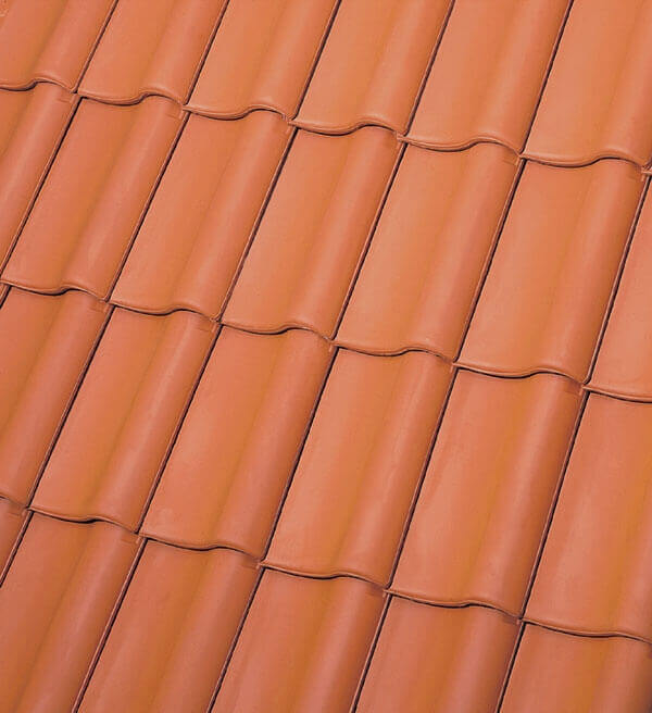 Roeben Bornholm natur