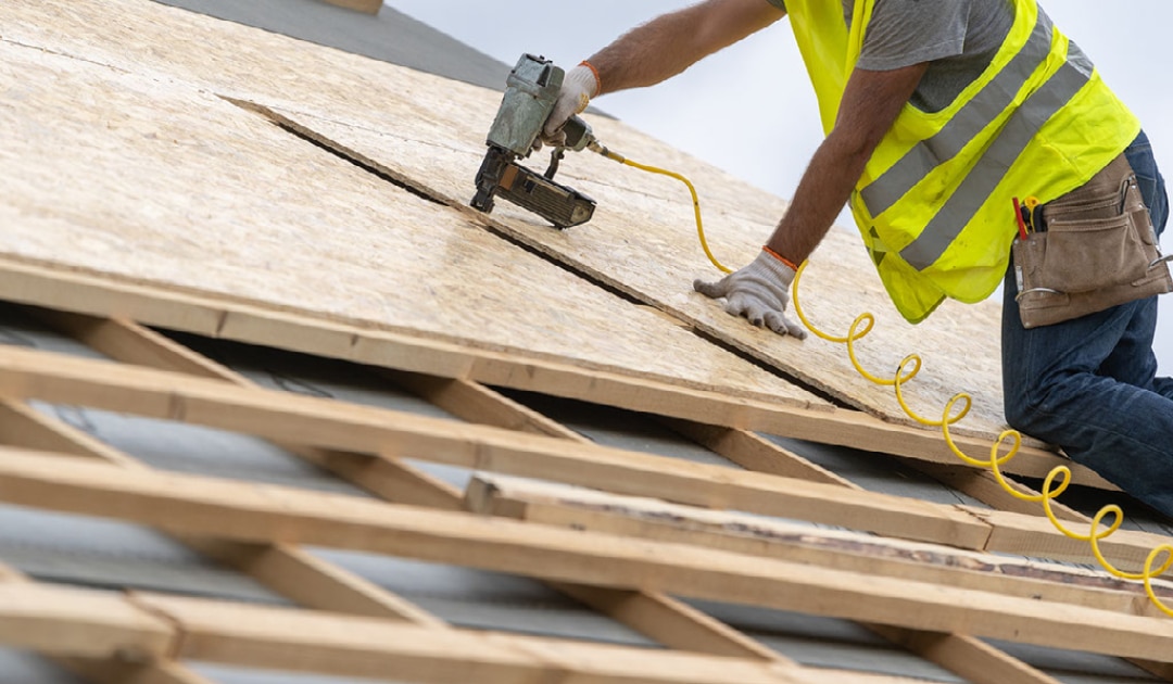 blog montaco imagine