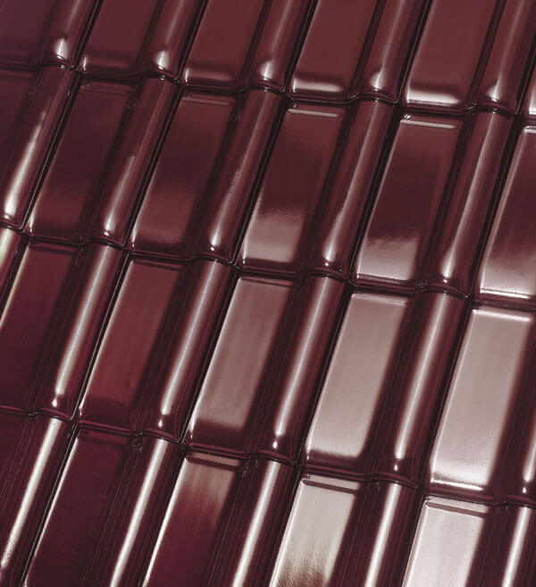 Roeben monzaplus trentino