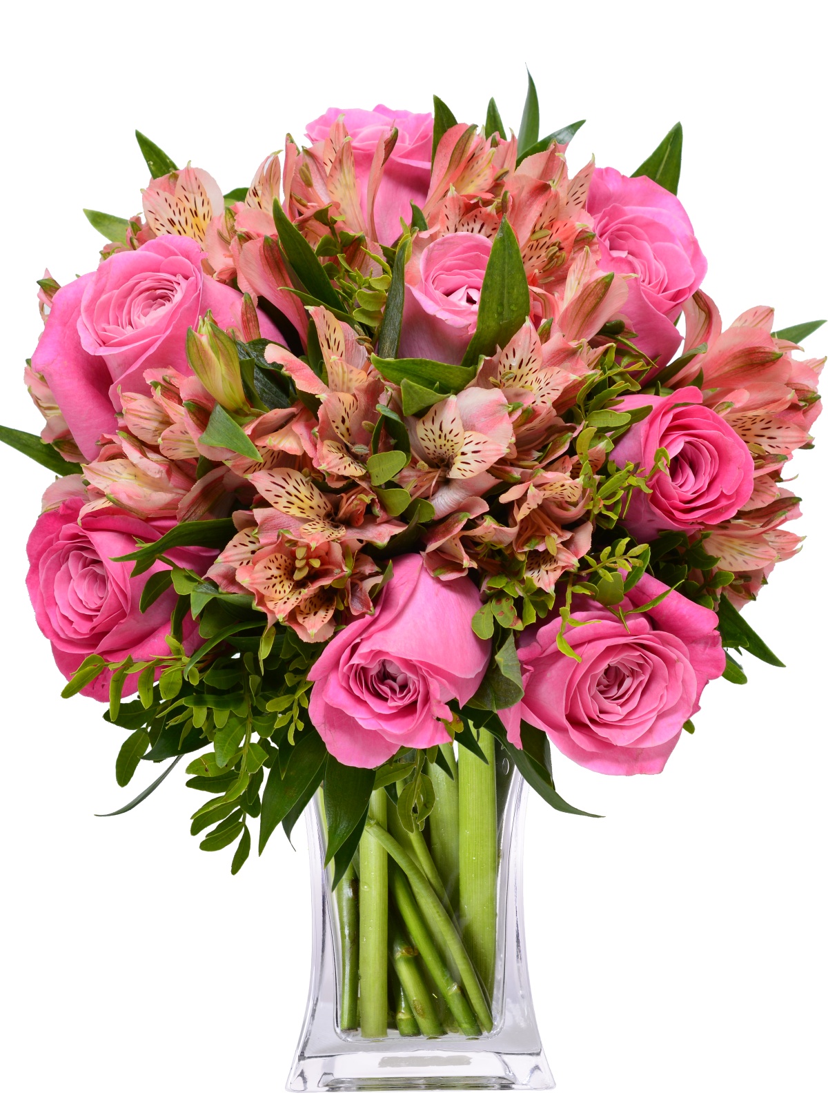 cvjećara hrceg novi