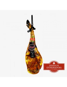 Paleta 100% bellota D.O Extremadura