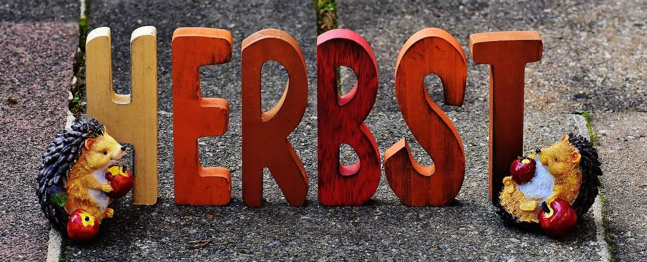 Fruchtsäfte – Augen auf beim Einkauf Herbst Igel Äpfel Jahreszeit Schrift Schriftzug