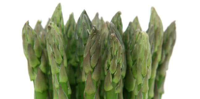 Spargel, Blumen, Gärten & Lebenskunst – die 7. Brandenburger Landesgartenschau spargel, lebensmittel, frisch