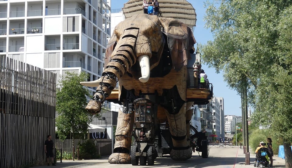 Fotomotiv Grand Elephant