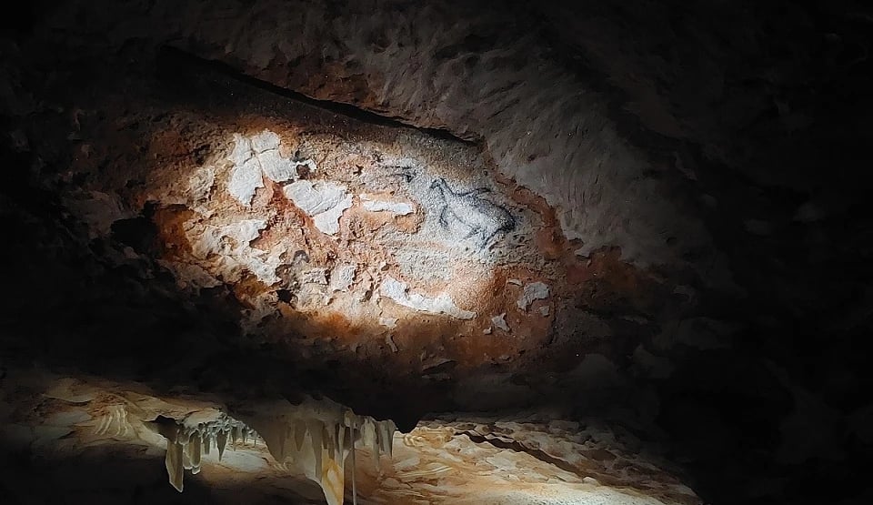 In der Grotte Cosquer und im Bestinarium