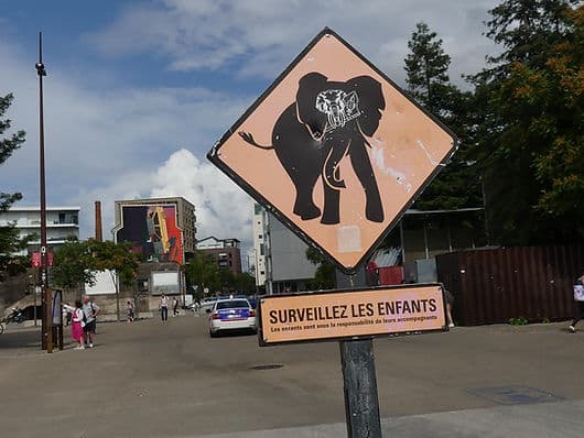 Achtung - Elefant unterwegs