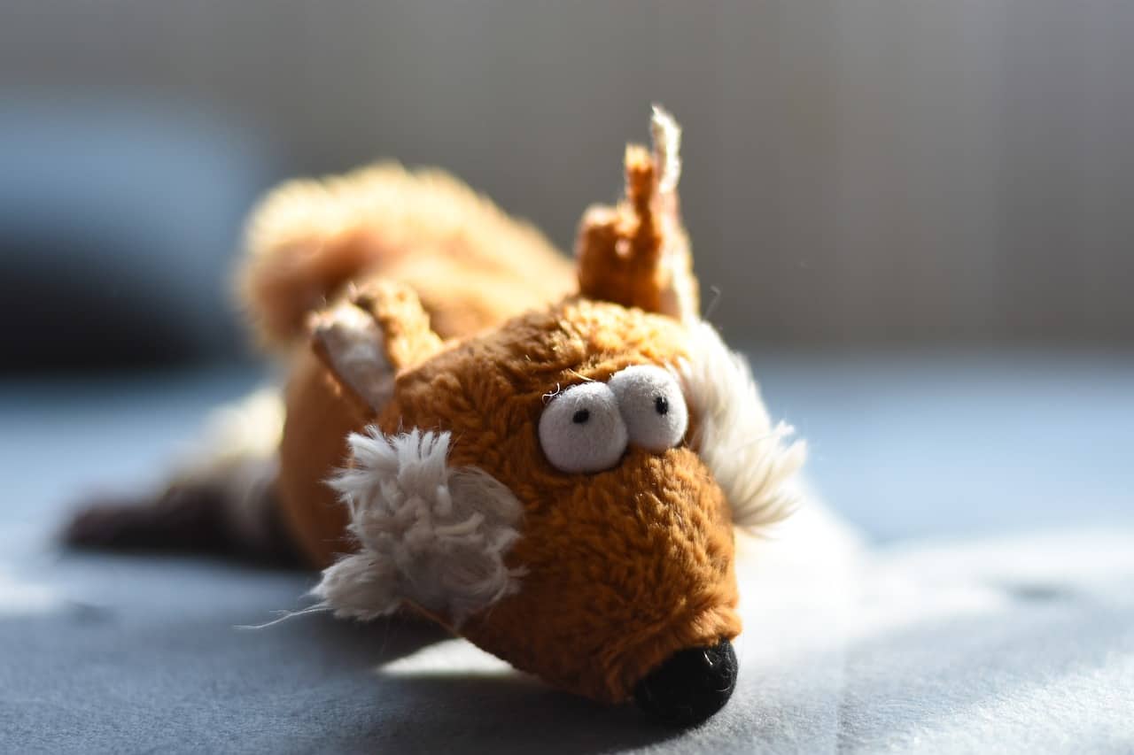 Tierisch menschlich: Fuchsbandwurm durch Schmusetier plüsch spiel fuchs lustige