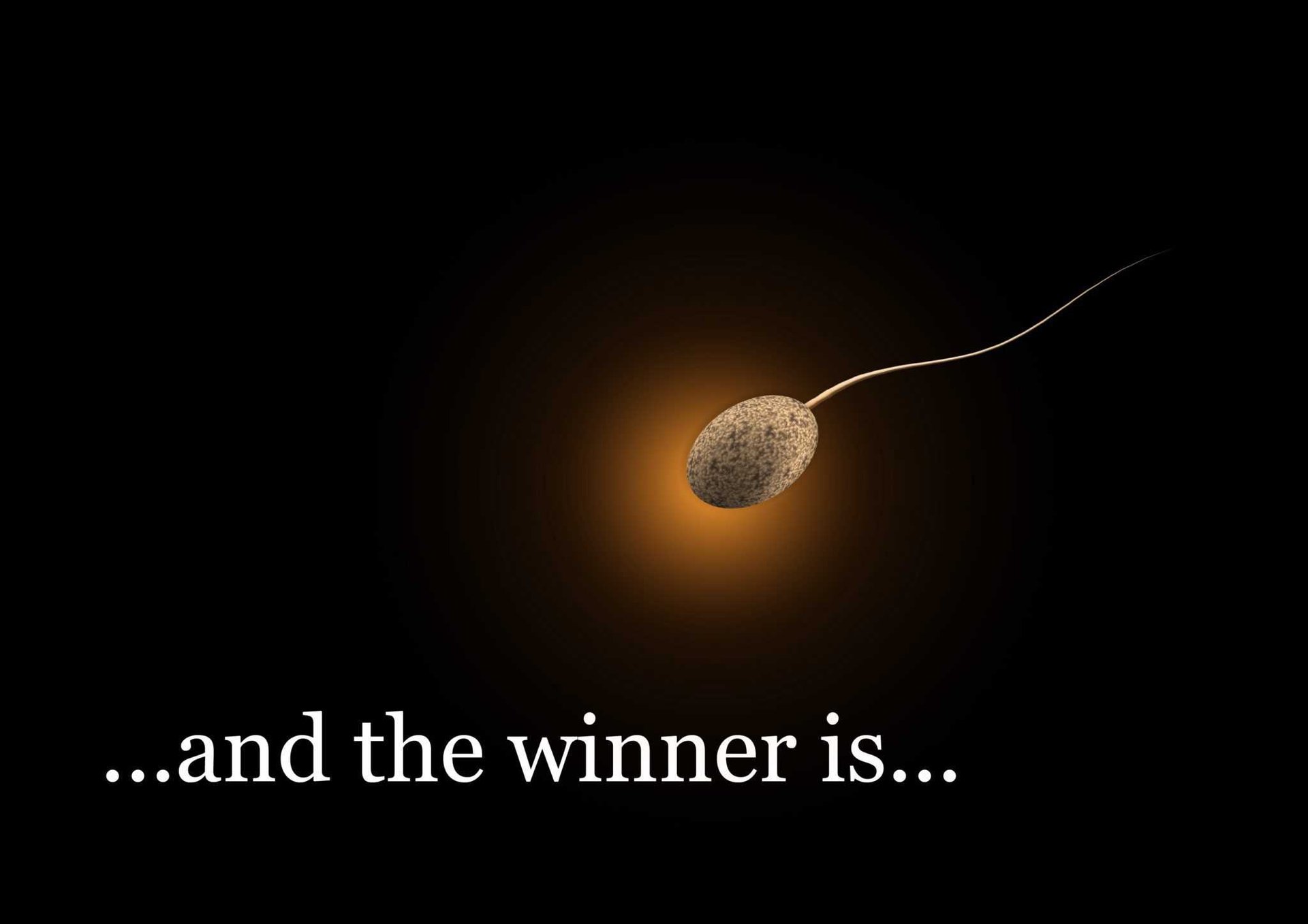 Anzeichen für Einnistung der Eizelle - Auf dem Weg zur Schwangerschaft: sperium, sperma, spermien