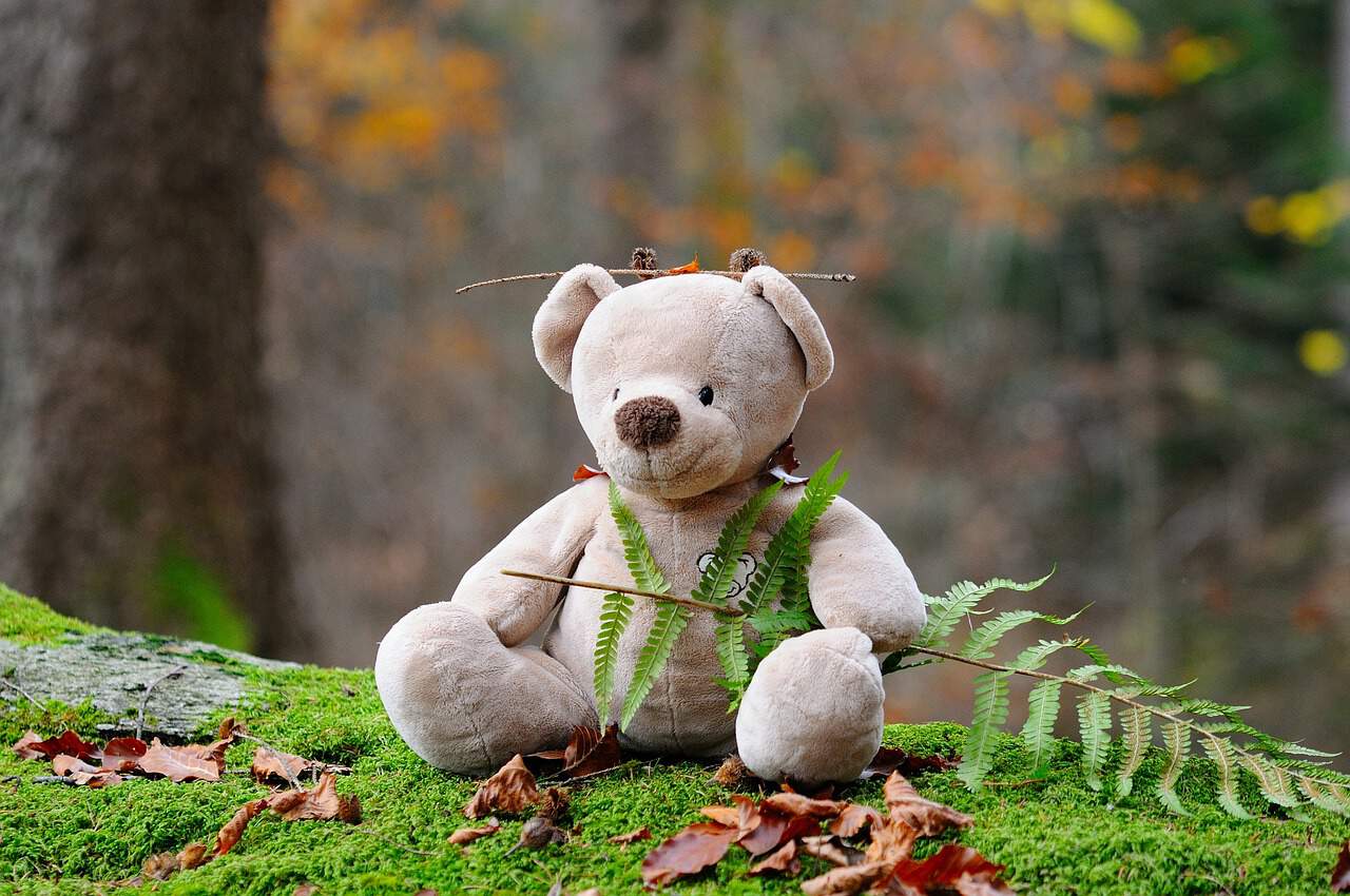Bodo Bär kauft ein teddybär bär kuscheltier kinderspielzeug wald