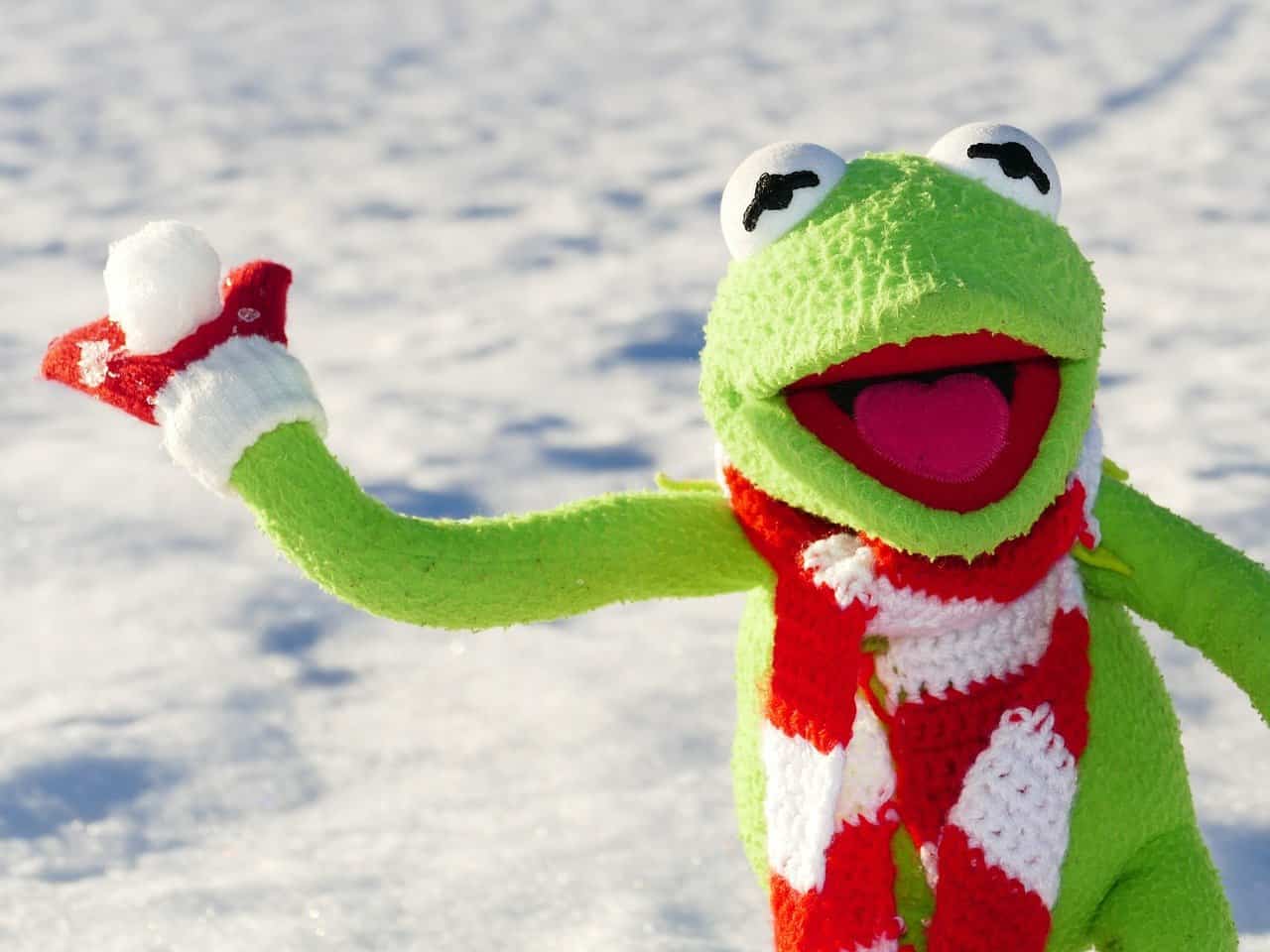 Schneeballschlacht – Kenne Deine Rechte Kermit Frosch Schneeball Werfen Schnee Winter